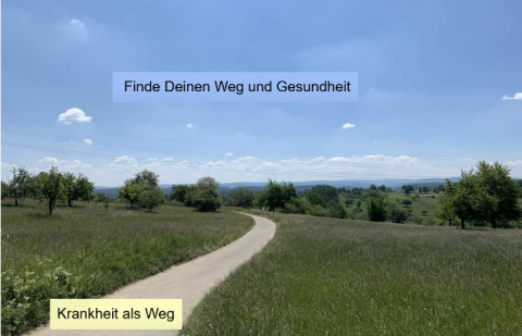 Dein Weg zur Gesundheit